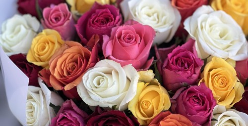 Яркие чувства без слов — 31 микс-роза #2