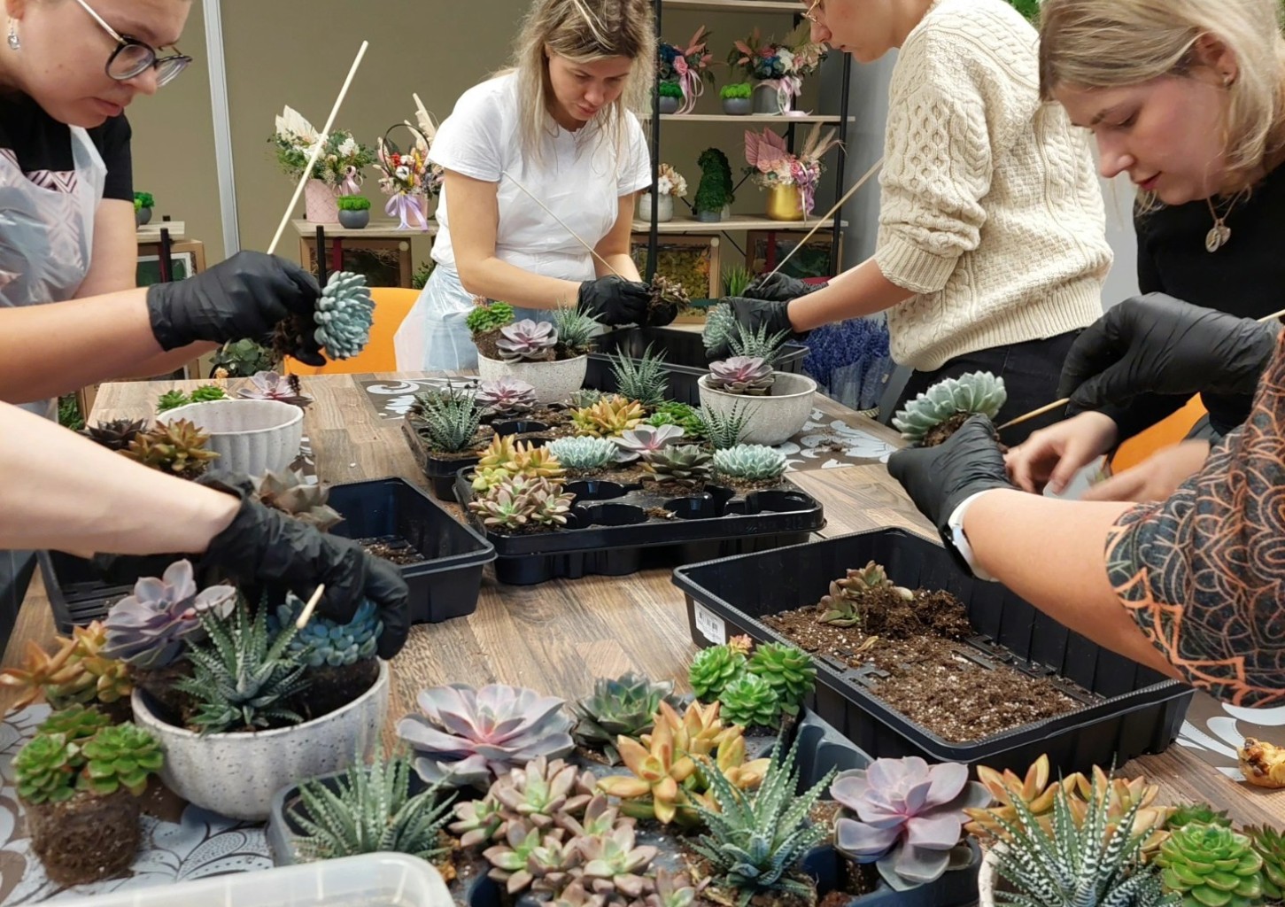 Подарочная карта Fitodesign