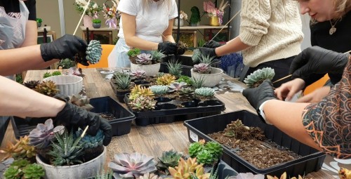 Подарочная карта Fitodesign #1