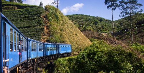 Avasta maailma TerraXploraga #6