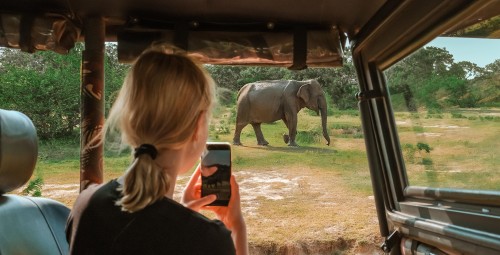 Avasta maailma TerraXploraga #10