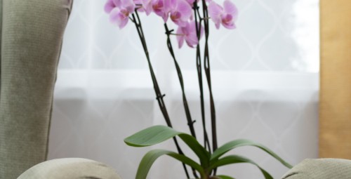 Korrastuskogemus “Kergus sinu ruumis” | Standardpakett #5