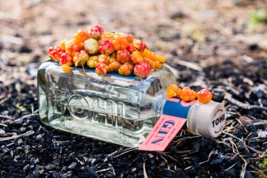 Мастер-класс по приготовлению джина – МОЖНО САМОМУ СДЕЛАТЬ ДЖИН! #2