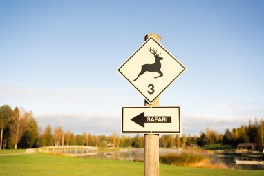 Oma autoga ulukisafari Toosikannu Looduspargis #6