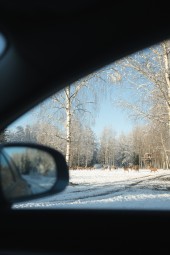 Oma autoga ulukisafari Toosikannu Looduspargis #4