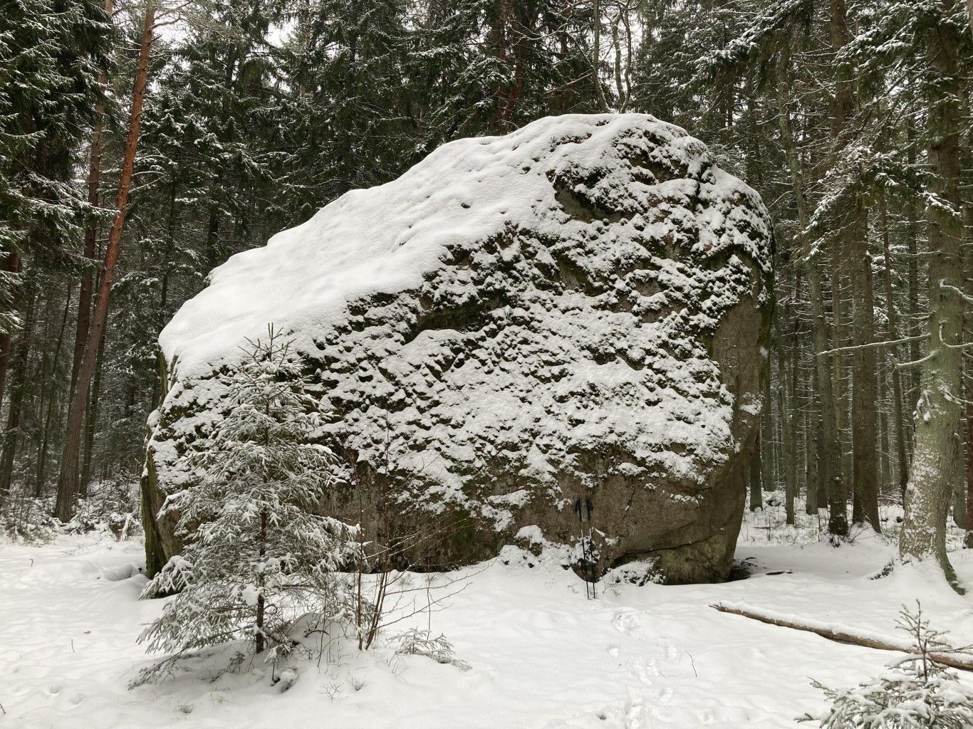 Matk Eesti hiidrahnude maastikel kolmele
