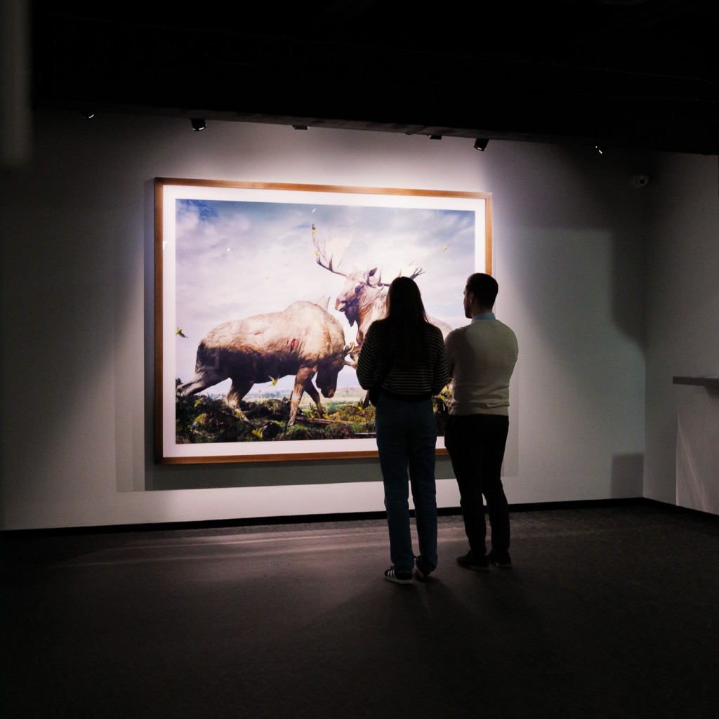 Fotografiska näitusekülastus ja täiuslik hommikusöök kahele