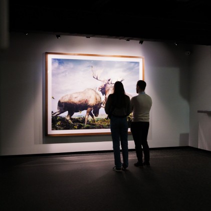 Fotografiska näitusekülastus ja täiuslik hommikusöök kahele