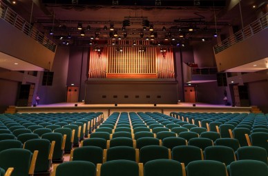 Вечерний концерт для двоих в концертном зале Ванемуйне #1