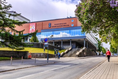 Вечерний концерт для двоих в концертном зале Ванемуйне #4