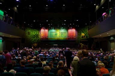 Вечерний концерт для двоих в концертном зале Ванемуйне #5